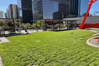 92. Plaza