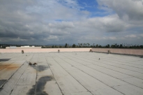 36. Rooftop