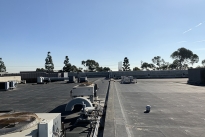 131. Rooftop