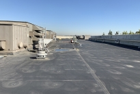 133. Rooftop