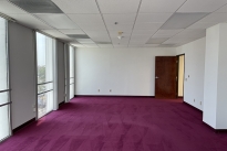 41. Suite 305