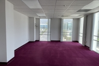 42. Suite 305