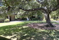 103. Courtyard