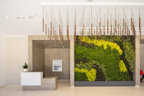 54. Lobby