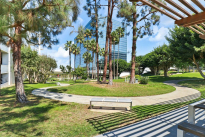 37. Park