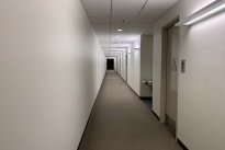 888 Walnut
