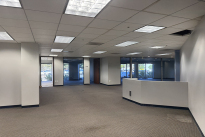 41. Suite 160
