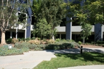 24. Courtyard