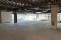 31. Suite 203