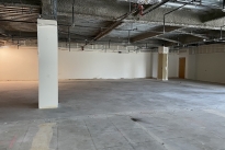 29. Suite 203