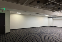 33. Basement 300 Ste