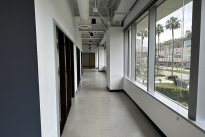 54. Suite 260