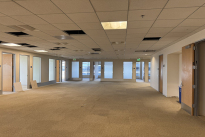 75. Eleventh Floor