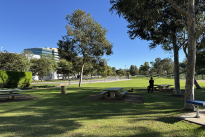 93. Triangle Park
