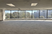 43. Suite 300