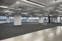 141. Suite 1175