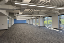 51. Suite 480