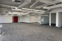 45. Suite 425