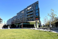 43. Plaza