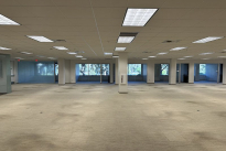 81. Suite 130