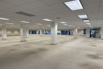 84. Suite 130