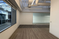129. Suite 250