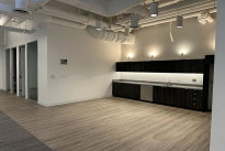 135. Suite 250