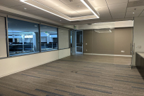 133. Suite 250
