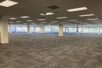 148. Suite 280
