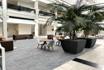 29. Atrium