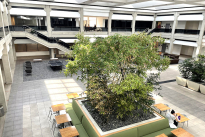87. Atrium 2nd FL