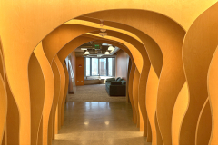 167. 20th Fl. Tenant 1