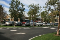 10. Exterior