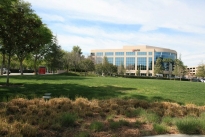 7. Exterior