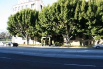 2. Exterior