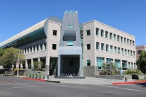 331 Maple