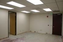 41. Suite 345