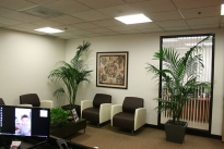 20. Suite 250