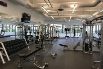 56. 1240 Bldg. Gym