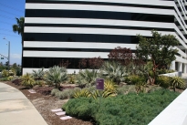 6. Exterior