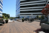 31. Plaza