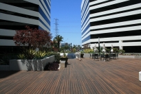 22. Plaza