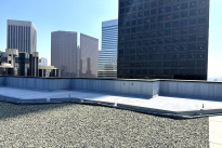 230. Rooftop