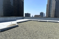231. Rooftop