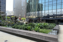 16. Plaza