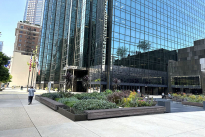14. Plaza