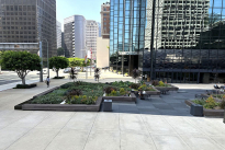 12. Plaza