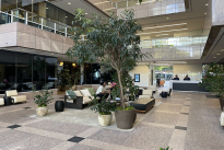 29. Lobby 345 Bldg.
