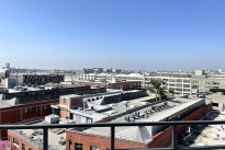 43. Rooftop