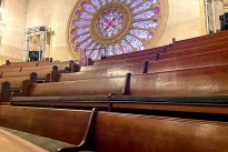 43. Sanctuary